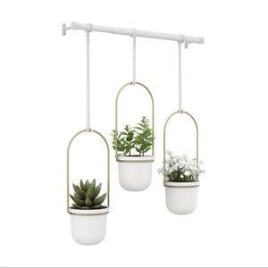 umbra triflora 3 hanging plant and rod